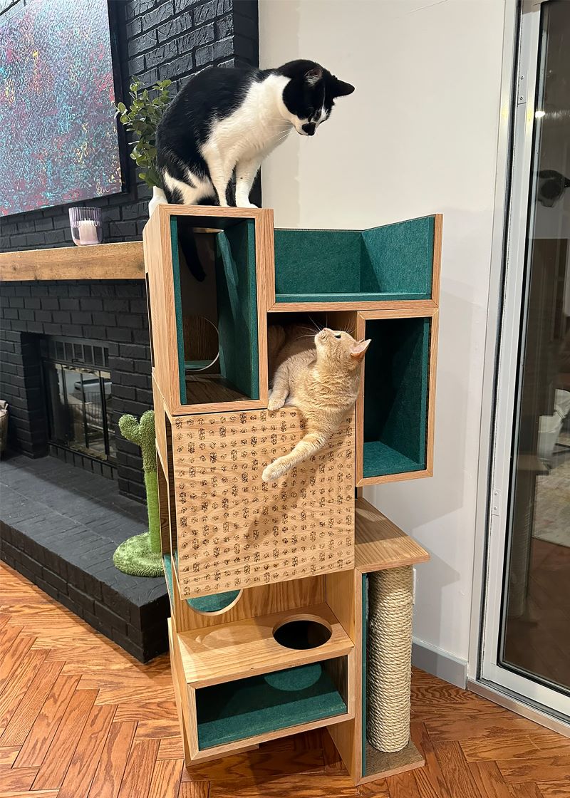 Building cat furniture best sale