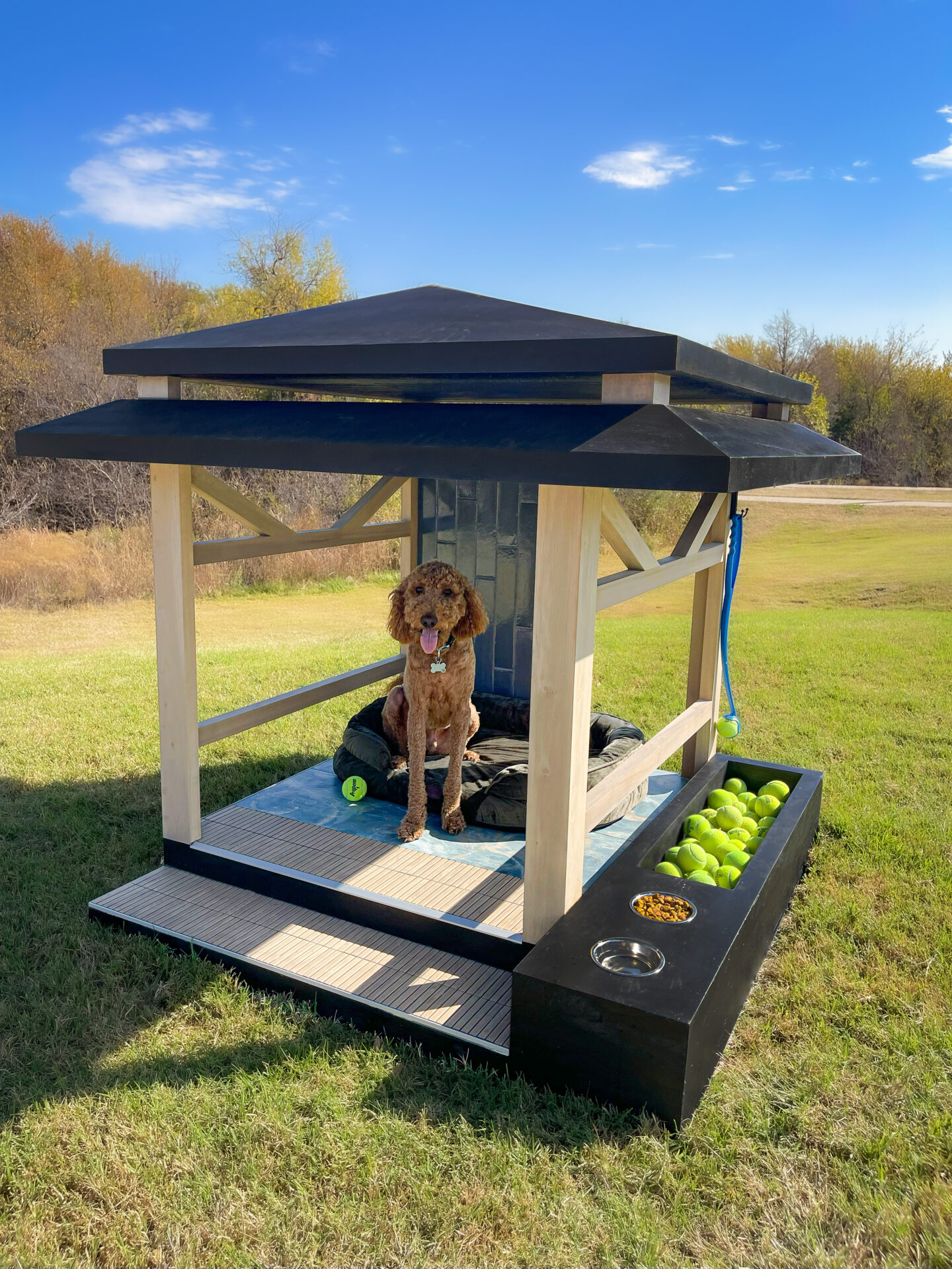 Big Dog – Dallas Bark + Build